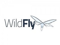 WildFly